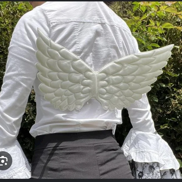 Hot Topic | Accessories | Hot Topic Kawaii Angel Wing Corset  display picture 3